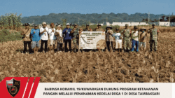 BABINSA KORAMIL 19/KUWARASAN DUKUNG PROGRAM KETAHANAN PANGAN MELALUI PENANAMAN KEDELAI DEGA 1 DI DESA TAMBAKSARI