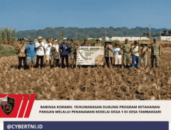 BABINSA KORAMIL 19/KUWARASAN DUKUNG PROGRAM KETAHANAN PANGAN MELALUI PENANAMAN KEDELAI DEGA 1 DI DESA TAMBAKSARI