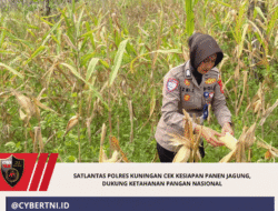 Satlantas Polres Kuningan Cek Kesiapan Panen Jagung, Dukung Ketahanan Pangan Nasional
