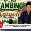 Ustadz Hasan Bisri Layani Jual Beli Kambing dan Paket Aqiqah 50 Box Rp2,5 Juta di Pemalang