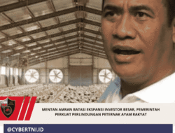 Mentan Amran Batasi Ekspansi Investor Besar, Pemerintah Perkuat Perlindungan Peternak Ayam Rakyat