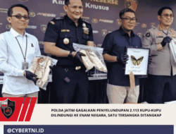 Polda Jatim Gagalkan Penyelundupan 2.113 Kupu-Kupu Dilindungi ke Enam Negara, Satu Tersangka Ditangkap