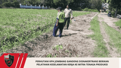 Perhutani KPH Jombang Gandeng Disnakertrans Berikan Pelatihan Keselamatan Kerja Ke Mitra Tenaga Produksi