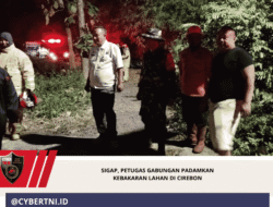Sigap, Petugas Gabungan Padamkan Kebakaran Lahan di Cirebon