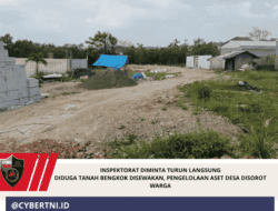 Inspektorat diminta Turun langsung Diduga Tanah Bengkok Disewakan, Pengelolaan Aset Desa Disorot Warga