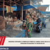 Babinsa Koramil 01/Bireuen Pantau Harga Ikan Melalui Komsos Dengan Pedagang di Pasar Blok