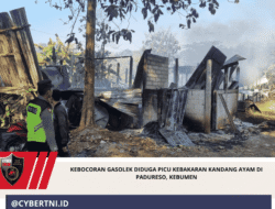 Kebocoran Gasolek Diduga Picu Kebakaran Kandang Ayam di Padureso, Kebumen