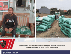 Unit usaha pertanian BUMDES menjadi motor penggerak perekonomian di Desa Tegal Gubug lor