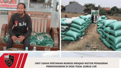 Unit usaha pertanian BUMDES menjadi motor penggerak perekonomian di Desa Tegal Gubug lor