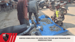 Babinsa Samalanga Cek Harga Ikan Teri dan Ajak Pedagang Jaga Kebersihan Pasar