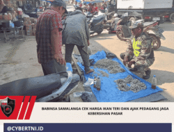 Babinsa Samalanga Cek Harga Ikan Teri dan Ajak Pedagang Jaga Kebersihan Pasar