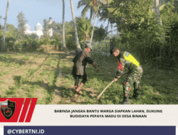 Babinsa Jangka Bantu Warga Siapkan Lahan, Dukung Budidaya Pepaya Madu di Desa Binaan