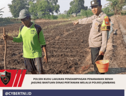Polsek Kudu Lakukan Pendampingan Penanaman Benih Jagung Bantuan Dinas Pertanian melalui Polres Jombang