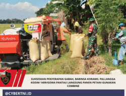 Sukseskan Penyerapan Gabah, Babinsa Koramil Pallangga Kodim 1409/Gowa Pantau Langsung Panen Petani Gunakan Combine