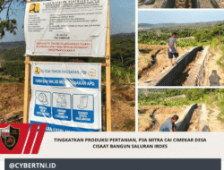 Tingkatkan Produksi Pertanian, P3A Mitra Cai Cimekar Desa Cisaat Bangun Saluran Irdes