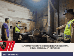 Dapur Produksi Keripik Singkong di Buayan Kebakaran, Diduga Dipicu Bara Api Sisa Tungku