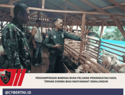 Pendampingan Babinsa Buka Peluang Peningkatan Hasil Ternak Domba bagi Masyarakat Simalungun