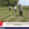 Polsek Diwek Tinjau Tanaman Jagung Dukung Program Nasional Asta Cita