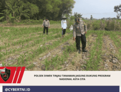 Polsek Diwek Tinjau Tanaman Jagung Dukung Program Nasional Asta Cita