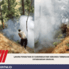 Lahan Perhutani di Karanggayam Kebumen Terbakar, Api Dipadamkan Manual