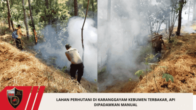 Lahan Perhutani di Karanggayam Kebumen Terbakar, Api Dipadamkan Manual
