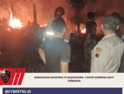 Kebakaran Kandang di Bojongsari, 3 Ekor Kambing Mati Terbakar