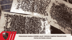 Pemukiman Warga Diserbu Lalat, Diduga Dampak Penumpukan Pupuk Kotoran Hewan