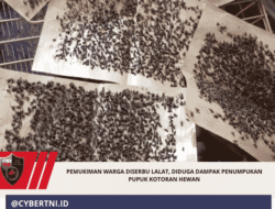 Pemukiman Warga Diserbu Lalat, Diduga Dampak Penumpukan Pupuk Kotoran Hewan