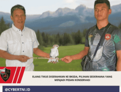 Elang Tikus Diserahkan ke BKSDA, Pilihan Sederhana yang Menjadi Pesan Konservasi