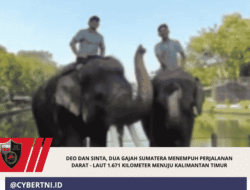 Deo dan Sinta, Dua Gajah Sumatera Menempuh Perjalanan Darat – Laut 1.671 Kilometer Menuju Kalimantan Timur