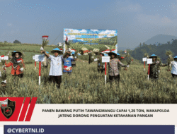 Panen Bawang Putih Tawangmangu Capai 1,25 Ton, Wakapolda Jateng Dorong Penguatan Ketahanan Pangan