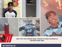 Sakit Hati Tak Diterima Kerja, Pemuda di Ogan Ilir Bakar 4,5 Hektare Lahan Tebu