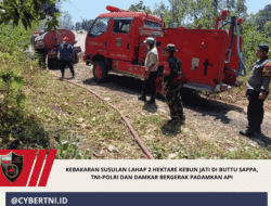 Kebakaran Susulan Lahap 2 Hektare Kebun Jati di Buttu Sappa, TNI-Polri dan Damkar Bergerak Padamkan Api