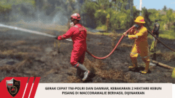Gerak Cepat TNI-Polri dan Damkar, Kebakaran 2 Hektare Kebun Pisang di Maccorawalie Berhasil Dijinakkan