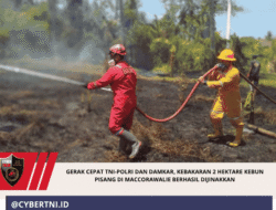 Gerak Cepat TNI-Polri dan Damkar, Kebakaran 2 Hektare Kebun Pisang di Maccorawalie Berhasil Dijinakkan