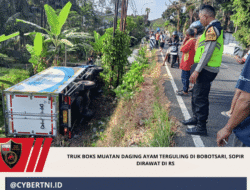 Truk Boks Muatan Daging Ayam Terguling di Bobotsari, Sopir Dirawat di RS