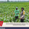 Bhabinkamtibmas Desa Mojongapit Dampingi Petani, Dukung Program Ketahanan Pangan