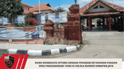 Kuwu Khaerudin Optimis dengan Program ketahanan pangan Desa Panggangsari yang di kelola BUMDES Harapan Jaya