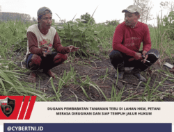 DUGAAN PEMBABATAN TANAMAN TEBU DI LAHAN HKM, PETANI MERASA DIRUGIKAN DAN SIAP TEMPUH JALUR HUKUM