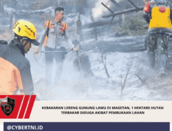 Kebakaran Lereng Gunung Lawu di Magetan, 1 Hektare Hutan Terbakar Diduga Akibat Pembukaan Lahan