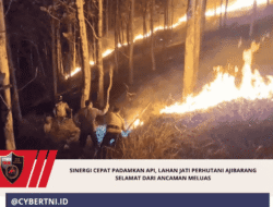 Sinergi Cepat Padamkan Api, Lahan Jati Perhutani Ajibarang Selamat dari Ancaman Meluas