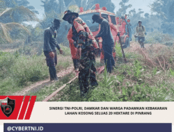 Sinergi TNI-Polri, Damkar dan Warga Padamkan Kebakaran Lahan Kosong Seluas 20 Hektare di Pinrang