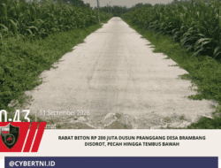Rabat Beton Rp 200 Juta Dusun Pranggang Desa Brambang Disorot, Pecah Hingga Tembus Bawah