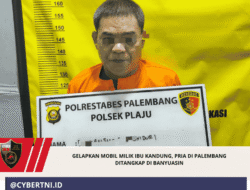 Gelapkan Mobil Milik Ibu Kandung, Pria di Palembang Ditangkap di Banyuasin