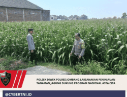 Polsek Diwek Polres Jombang Laksanakan Peninjauan Tanaman Jagung Dukung Program Nasional Asta Cita