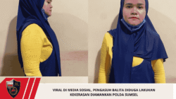 Viral di Media Sosial, Pengasuh Balita Diduga Lakukan Kekerasan Diamankan Polda Sumsel
