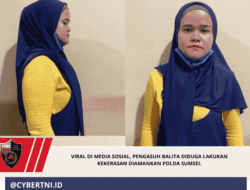 Viral di Media Sosial, Pengasuh Balita Diduga Lakukan Kekerasan Diamankan Polda Sumsel