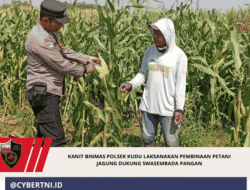 Kanit Binmas Polsek Kudu Laksanakan Pembinaan Petani Jagung Dukung Swasembada Pangan