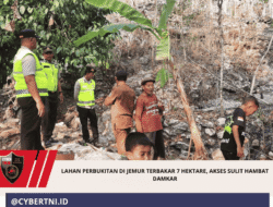Lahan Perbukitan di Jemur Terbakar 7 Hektare, Akses Sulit Hambat Damkar
