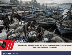 Pelabuhan Sibolga Ramai Aktivitas Bongkar Muat, Cold Storage Jaga Kualitas Hasil Perikanan